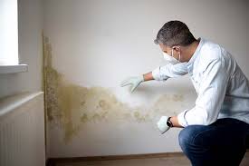 Best Airborne Mold Testing  in Pen Argyl, PA